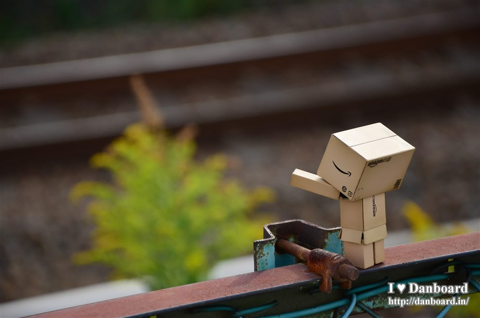 ダンボー、線路に大興奮