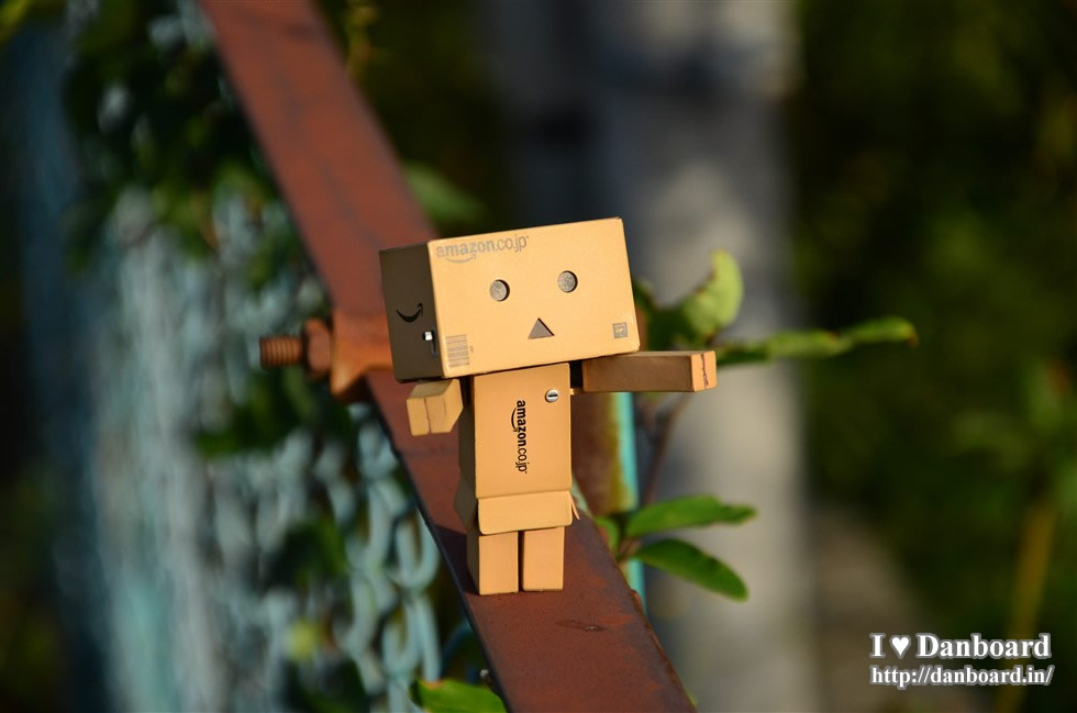 ダンボー、夕日に感激