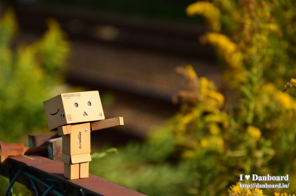 ダンボー、まだまだ夕日に感激