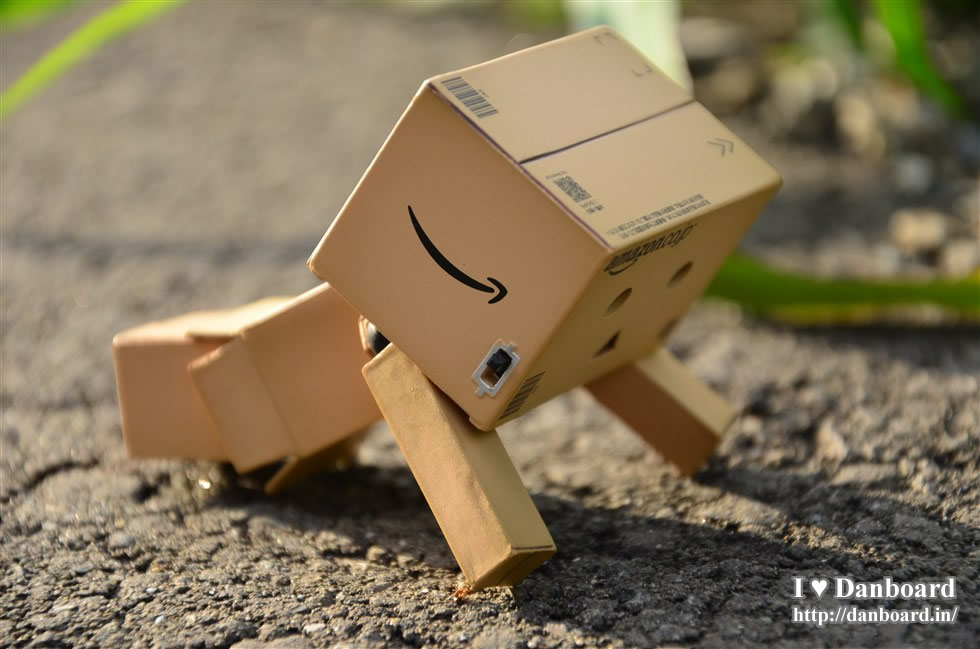 ダンボー、はしゃぎすぎて転ぶ