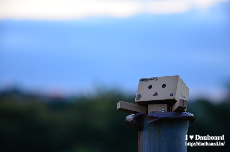 ダンボー、はまって抜け出せなくなる