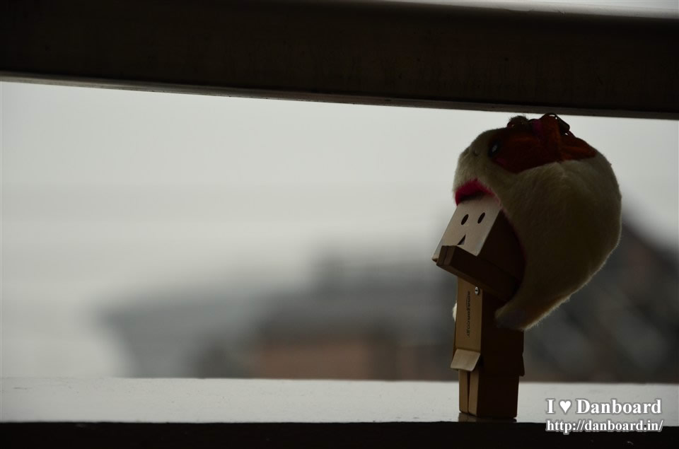 ダンボー、帽子を被ってお出かけ