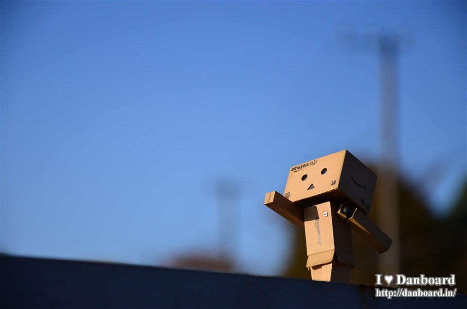 ダンボー、青空を背に突き進む