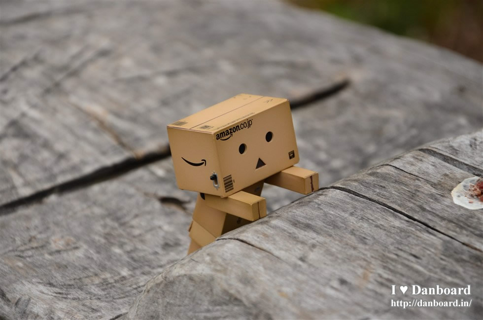 ダンボー、段差をよじ登ってみる