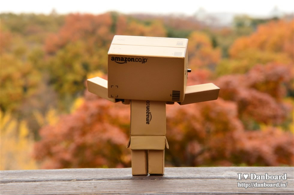 ダンボー、紅葉に興奮する