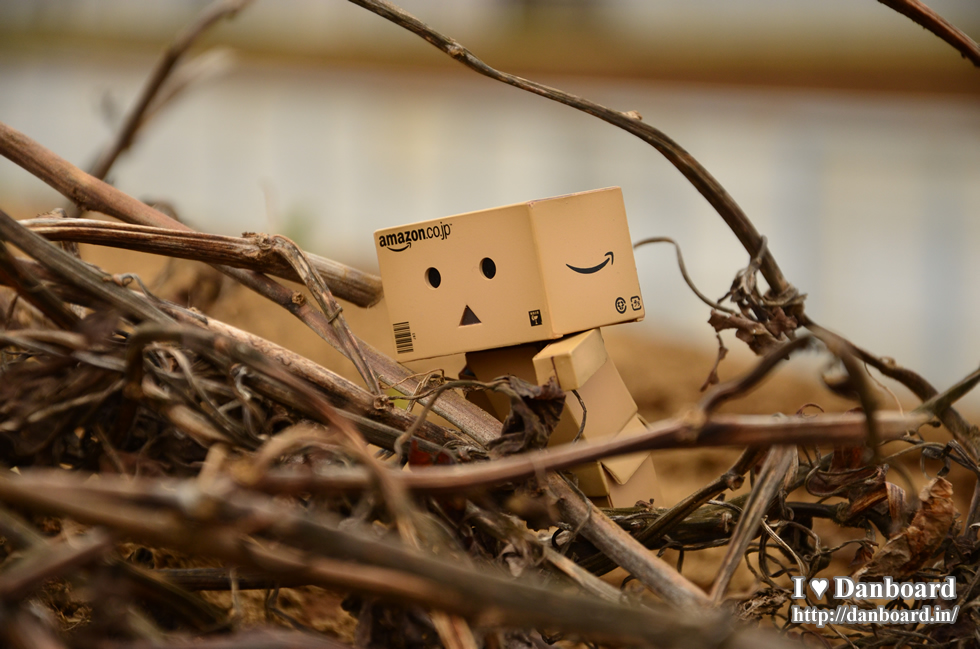 ダンボー、枯れ木によじ登る