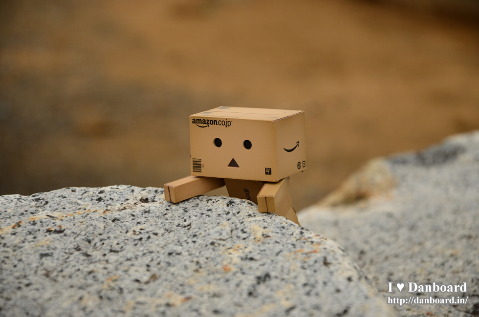 ダンボー、岩を乗り越える