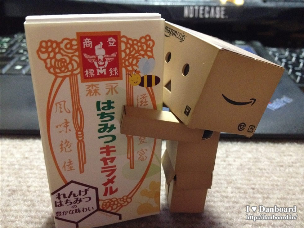 ダンボー、はちみつキャラメルに興味津々