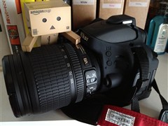 ダンボー、一眼レフによじ登る