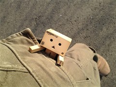 ダンボー、始めての外出