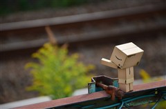 ダンボー、線路に大興奮