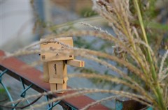 ダンボー、ススキに興味を持つ