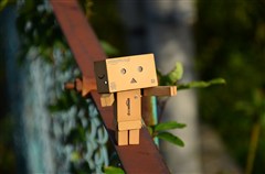 ダンボー、夕日に感激