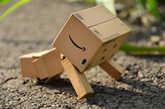 ダンボー、はしゃぎすぎて転ぶ