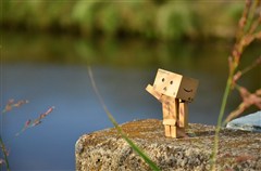 ダンボー、川を紹介する