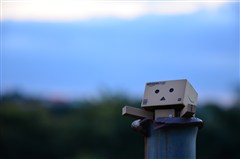 ダンボー、はまって抜け出せなくなる