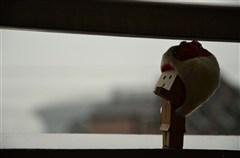 ダンボー、帽子を被ってお出かけ