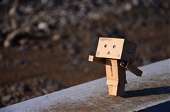 ダンボー、お散歩に出掛ける