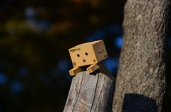 ダンボー、頑張ってよじ登る