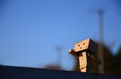 ダンボー、青空を背に突き進む