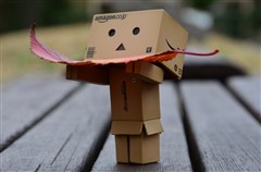 ダンボー、落ち葉を拾う