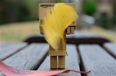 ダンボー、銀杏の葉を落とす