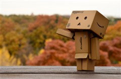 ダンボー、紅葉を紹介する