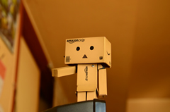 ダンボー、何かを見つける