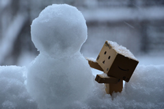 ダンボー、雪だるまを作る