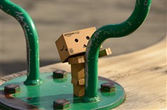 ダンボー、公園デビュー