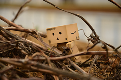 ダンボー、枯れ木によじ登る