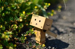 ダンボー、花をジッと観察してみる